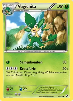 Vegichita