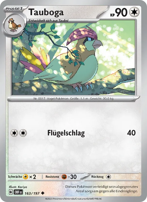 Tauboga