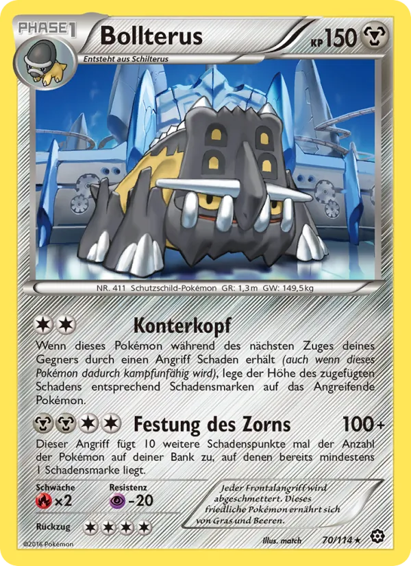 Bollterus