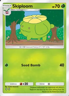 Skiploom