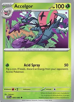 Accelgor
