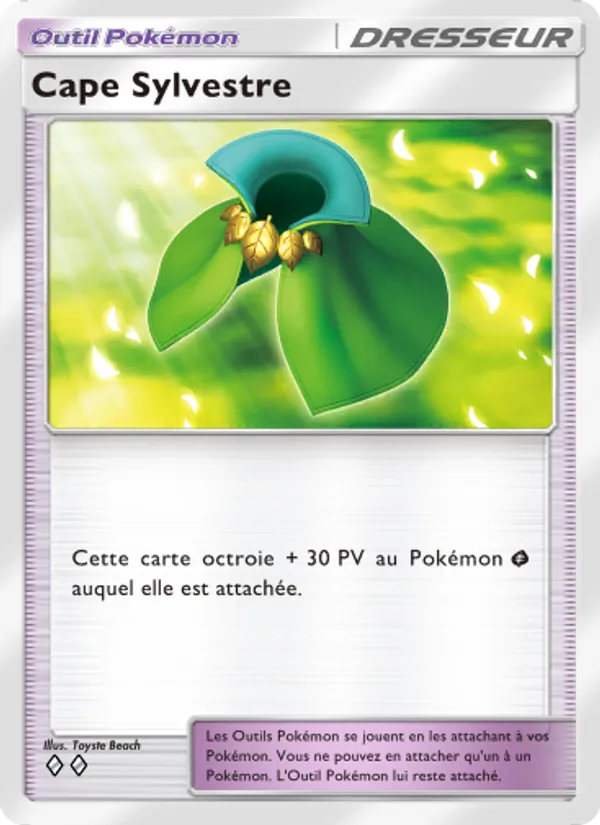 Cape Sylvestre