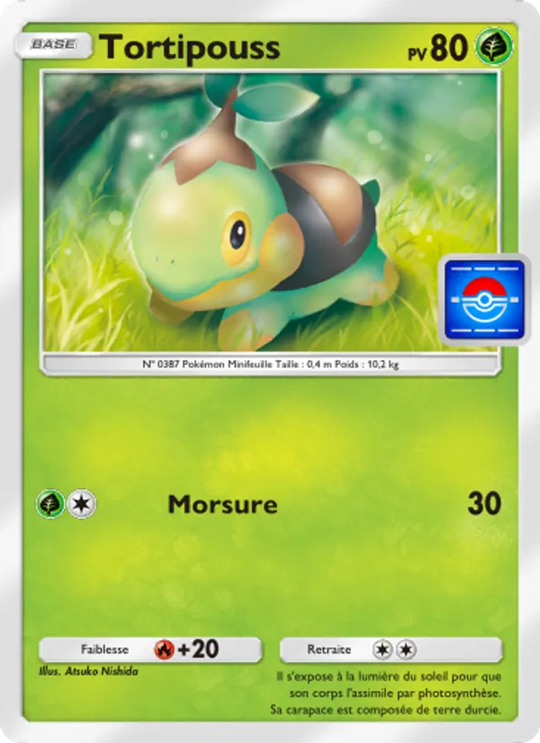 Tortipouss