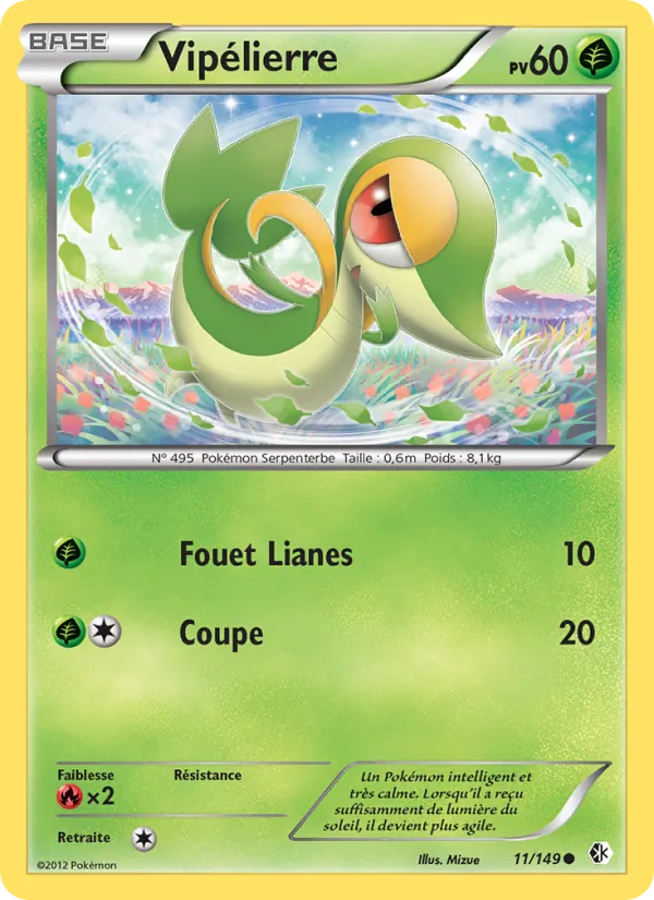 Vipélierre