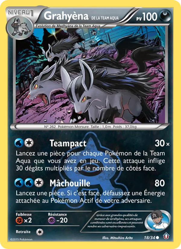 Grahyèna de la Team Aqua