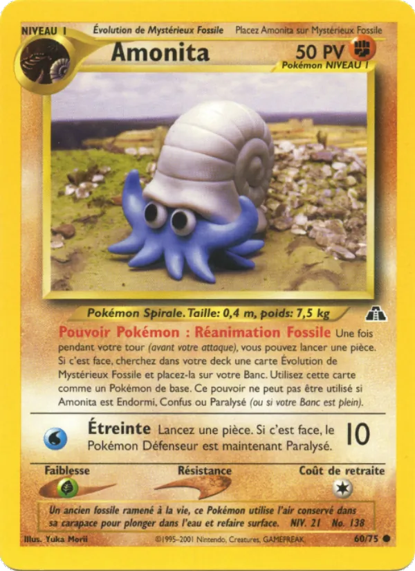 Amonita
