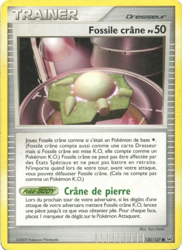 Fossile Crâne