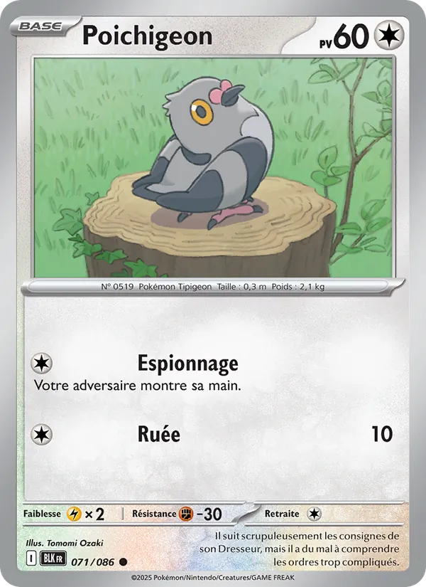 Poichigeon