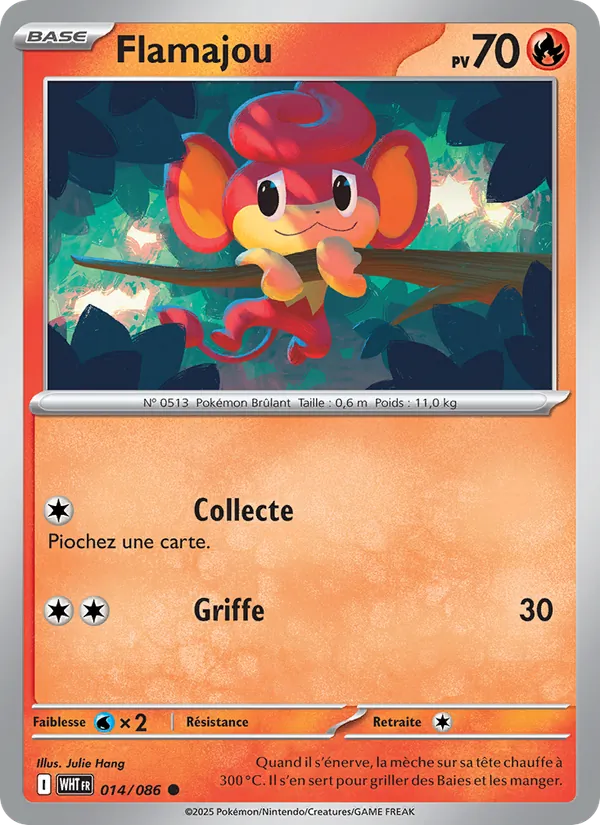 Flamajou