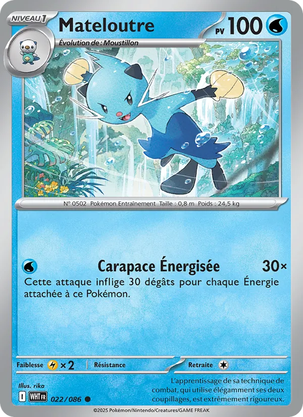 Mateloutre