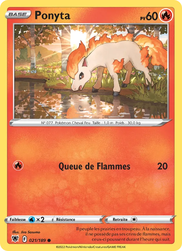 Ponyta