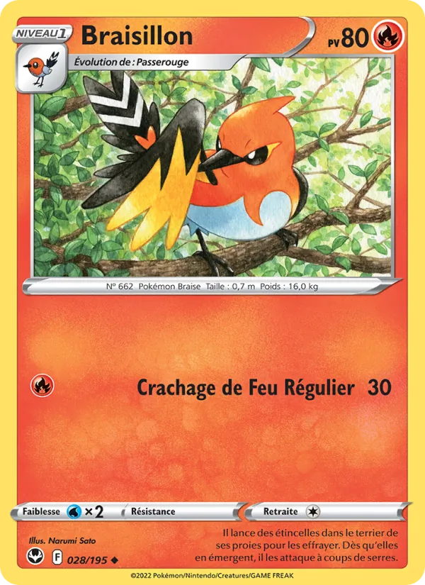 Braisillon