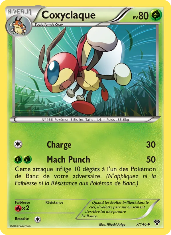 Coxyclaque