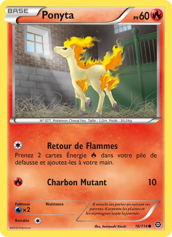 Ponyta