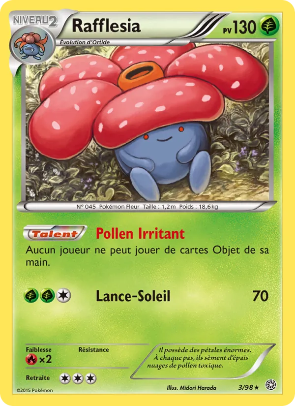 Rafflesia